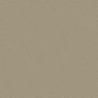 25 - s31 champagne metallic
